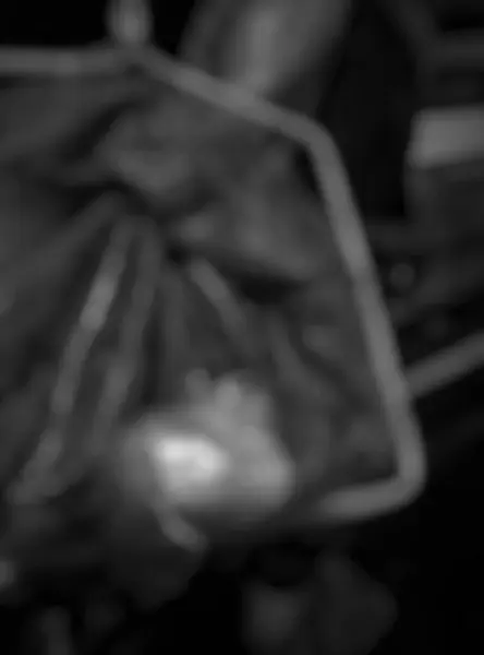 Ağa yakalanmış ve bir insanın elinde olan bir balık gibi. Bokeh, siyah beyaz