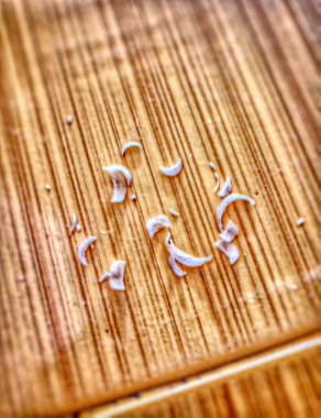 Döşemede kesilmiş tırnak parçaları ya da tırnak kesikleri var. Portre tırnakları, istiflenmiş tırnak kesikleri. Renkli