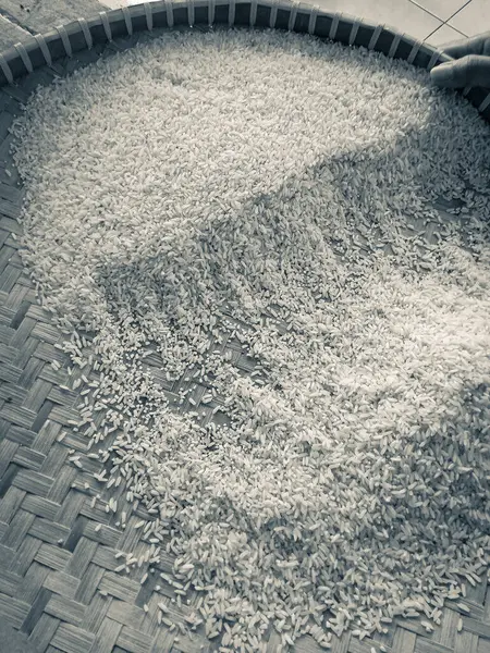 Portre, siyah ve beyaz. Endonezya 'daki geleneksel pirinç eleme yöntemine yakından bakın, rattan sepeti veya tampah ile..
