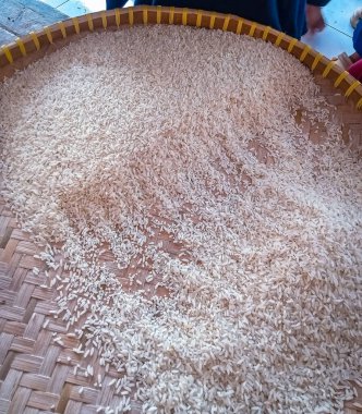 This is the traditional way of sifting rice in Indonesia, using a rattan basket called a tampah. clipart