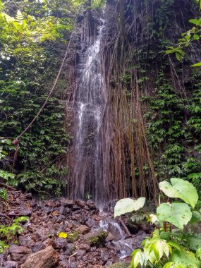 Kepahiang Regency, Bengkulu, Endonezya 'daki Batu Ampar köyündeki küçük bir şelalenin doğal güzelliği.