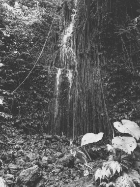 Siyah beyaz çerçeve. Batu Ampar köyündeki küçük bir şelalenin doğal güzelliği, Kepahiang naipliği, Bengkulu, Endonezya portresi.