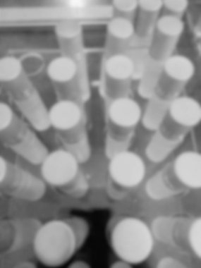 Bokeh, bir şişe koleksiyonu siyah beyaz parfüm dükkanının vitrininde düzgünce düzenlenir..
