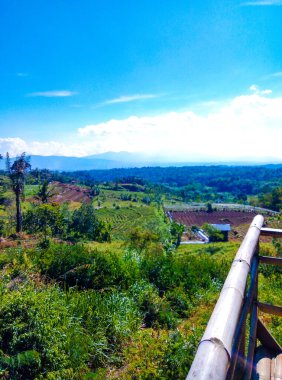 Çiçek bahçesinin şu güzel doğal manzarasına bir bakın.!
