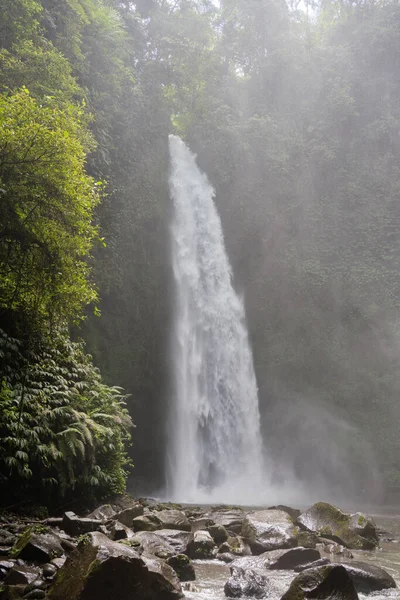 Bali Jungle Waterfall Ubud Indonesia — Stock Photo, Image