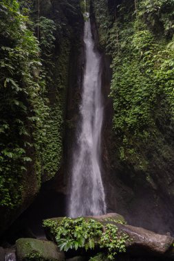 Leke Leke Şelalesi Bali Kuzey 'in gizli mücevherlerinden biridir.