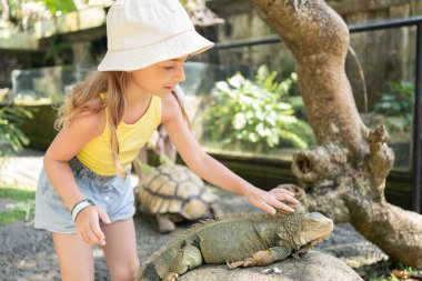 Bir hayvanat bahçesindeki çocuk uyuyan bir iguana, Bali, Endonezya 'ya dokunur..