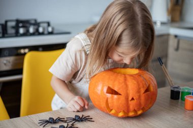 Çocuk Cadılar Bayramı dekorunu hazırlarken balkabağının içine bakıyor.