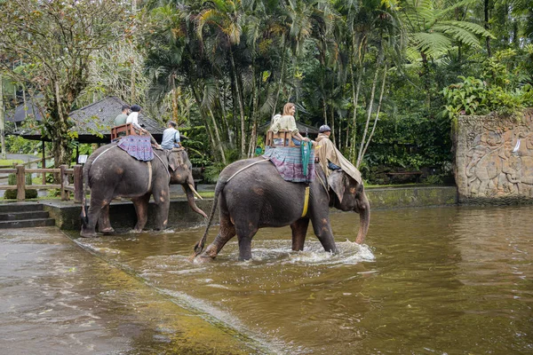 Bali Indonésie Května2023 Turistická Jízda Slonech Parku Slonů Bali — Stock fotografie