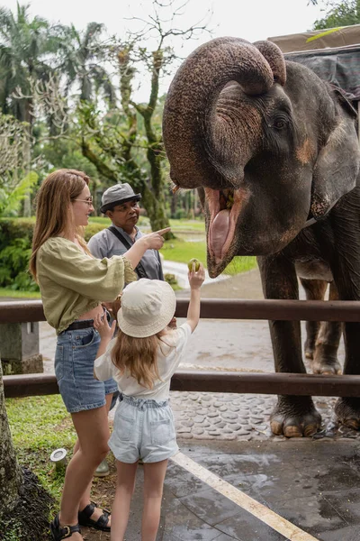 Bali Indonesia May 2023 Woman Daughter Feed Elephant Tropics — Stock Photo, Image