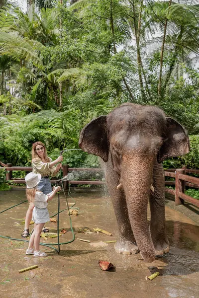 Fiatal Nők Lányukkal Elefántot Mosnak Balin Indonéziában Kiváló Minőségű Fénykép — Stock Fotó