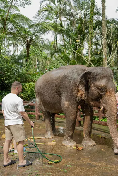 Giovani Con Figlia Che Lavano Elefante Santuario Bali Indonesia — Foto Stock