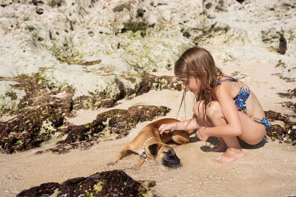Девушка Собака Пляже Летний День — стоковое фото