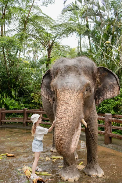Dziewczynka Myje Czyści Słonia Parku Sanktuarium Bali Indonezja — Zdjęcie stockowe