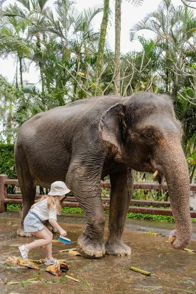 Child Girl Washing Cleaning Elephant Sanctuary Park Bali Indonesia — Stock Photo, Image