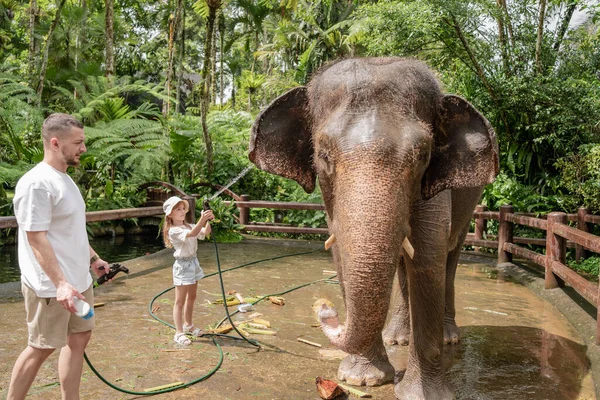 Endonezya, Bali 'de bir fili kızıyla birlikte yıkayan genç adamlar.