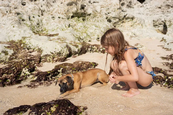 Menina Cachorro Praia Dia Verão — Fotografia de Stock