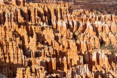 Güneşli bir günde Bryce Canyon Ulusal Parkı 'nda harika kaya oluşumları