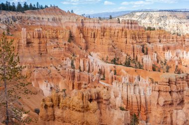 Güneşli bir günde Bryce Canyon Ulusal Parkı 'nda Hoodoo kayaları, güzel kaya oluşumları, güzel doğal manzara.