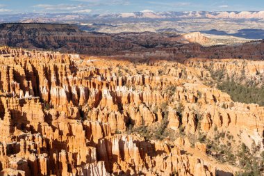 Güneşli bir günde Bryce Canyon Ulusal Parkı 'nda Hoodoo kayaları, güzel kaya oluşumları, güzel doğal manzara.