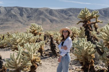Joshua Tree Ulusal Parkı 'nı ziyaret eden kadın, Cholla Kaktüs Bahçesi' nin tadını çıkarın.
