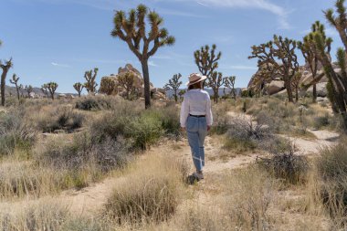 Joshua Tree 'yi keşfeden kadın, Kaliforniya Ulusal Parkı