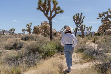 Joshua Tree 'yi keşfeden kadın, Kaliforniya Ulusal Parkı