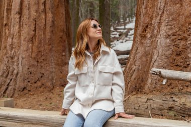 Genç kadın, sekoya ulusal parkında dinleniyor, doğanın tadını çıkarıyor.. 