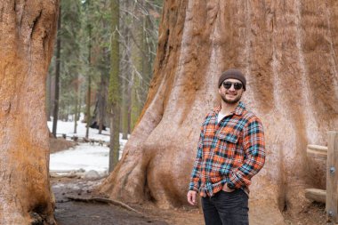 Sequoia Ulusal Parkı, ABD 'deki ormandaki dev ağaçların arasında yürüyen bir adam.. 