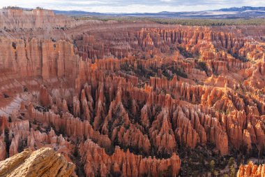 Bryce Canyon Ulusal Parkı, ABD, Utah. 