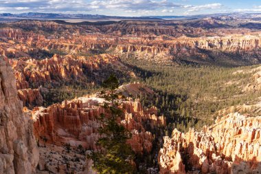 Bryce Canyon Ulusal Parkı, ABD, Utah. 