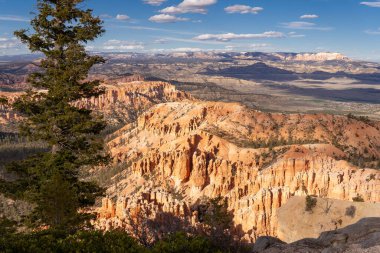 Bryce Canyon Ulusal Parkı, ABD, Utah. 