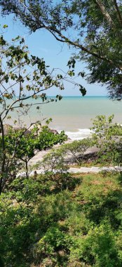  Sahilde (deniz şakıyan thailand))