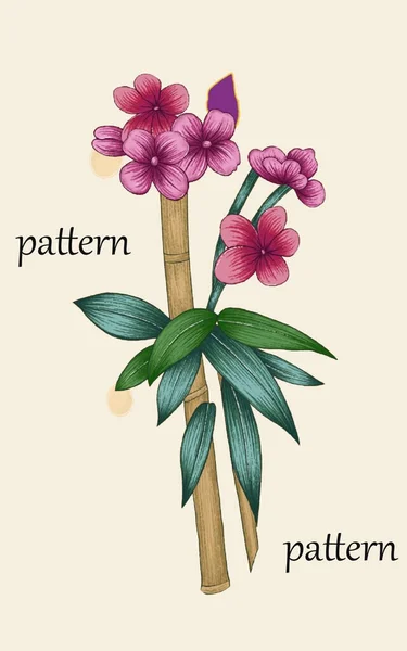 一个美丽的红色植物花卉插画干刷细节纺织品设计的新思路 — 图库照片