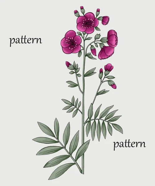 Beautiful Red Botanical Flower Illustration Dry Brush Detail New Idea — Stock Photo, Image