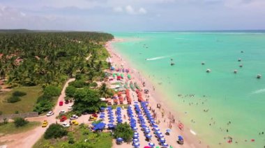 Dominik Cumhuriyeti 'ndeki plaj ve tropikal deniz manzarası.