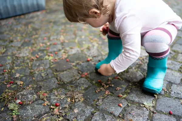 sevimli kız foxberries ormanda yaz gününde alıyorum.