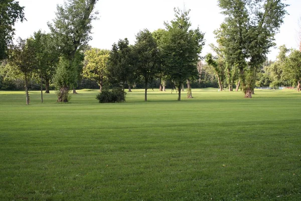 Güzel golf sahaları ADA Ciganlija Belgrad