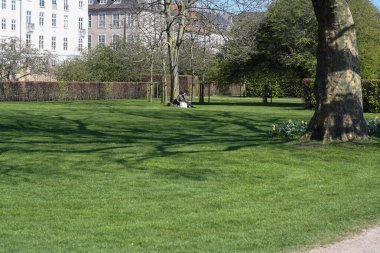 Güneşli bir günde Kopenhag 'ın merkezinde bakımlı bir park.