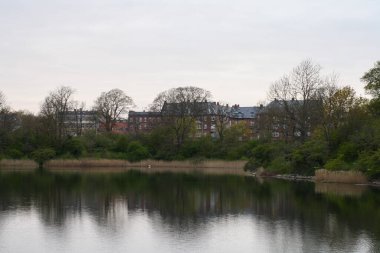 Kopenhag bölgesinin ortasında yeşil çimlerle süslenmiş büyük bir park ve göl.