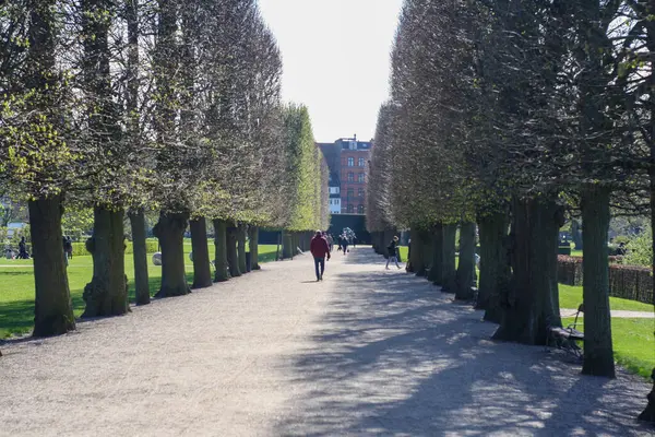 Güneşli bir günde Kopenhag 'ın merkezinde bakımlı bir park.