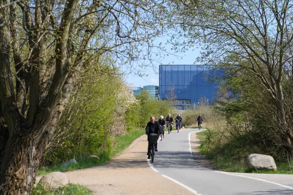 Bisiklet temel ulaşım aracı olarak, iş ve eğlence için