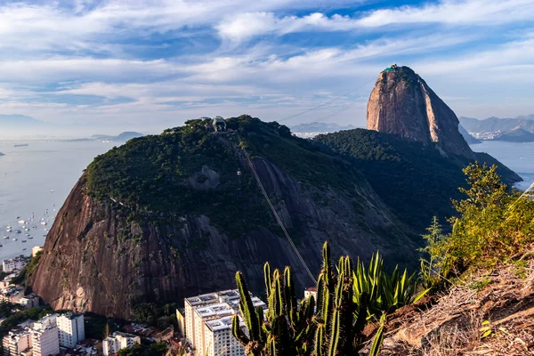 Rio Janeiro Brasiliana Bella Vista Dalla Montagna Zucchero — Foto Stock