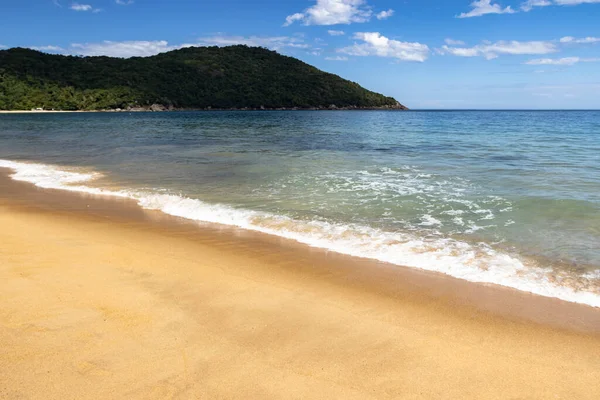Mavi denizi olan güzel tropikal plaj. Tayland.
