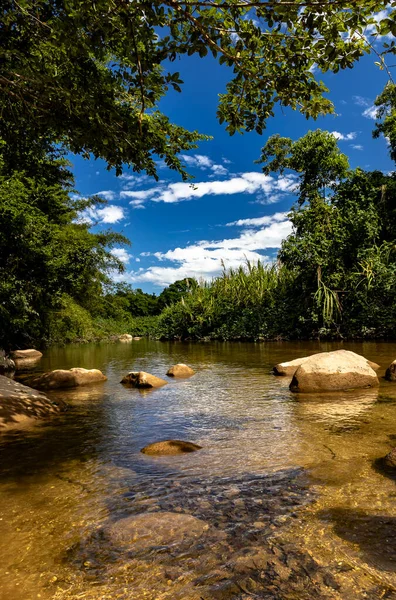 Parktaki güzel nehir