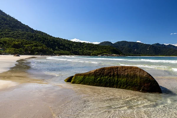 Mavi gökyüzü olan güzel sahil