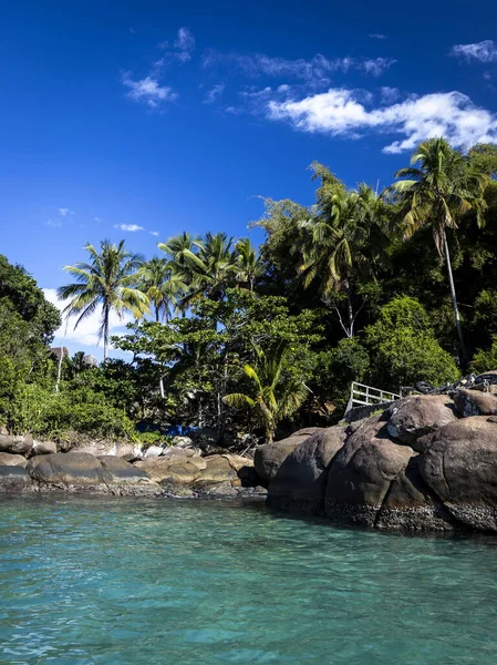 Mavi gökyüzü ve beyaz kumla güzel tropik bir sahil.