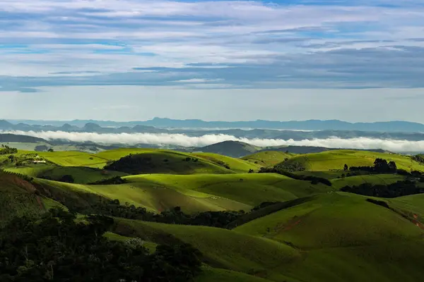 Sao Paulo, Brezilya 'daki yeşil tepelerin manzarası.