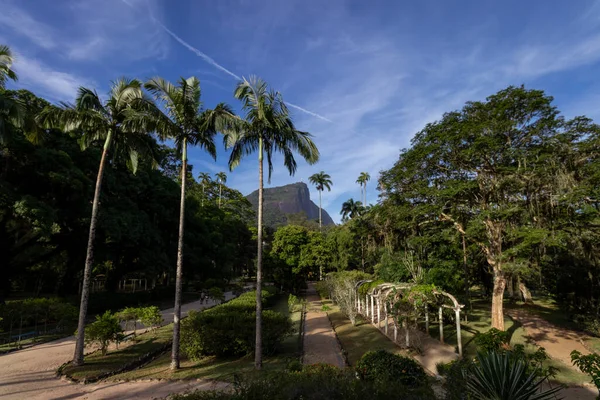 Şehir parkının manzarası. Şehrin manzarası. Eyaletin en güzel manzarası.