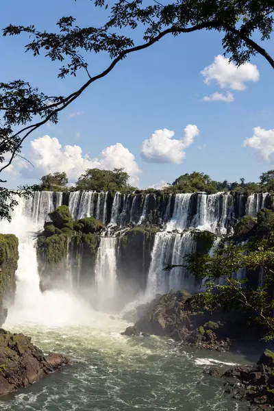 Ormanda iguazu şelalesi, Arjantin.